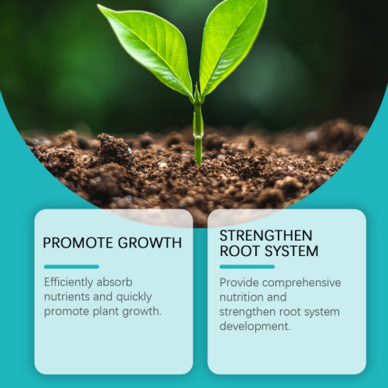 Hydroponic Fertilizer Factory - Lawn Green Leaf Growth Concentrate