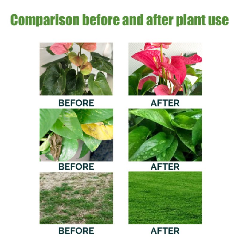 Plant Solution Manufacturer - Foliar Slow-Release Garden Fertilizer