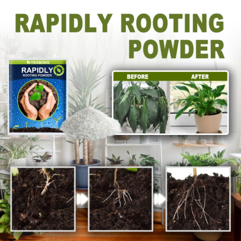 Rooting Powder Factory - Plant Seedling Transplant Nutrition