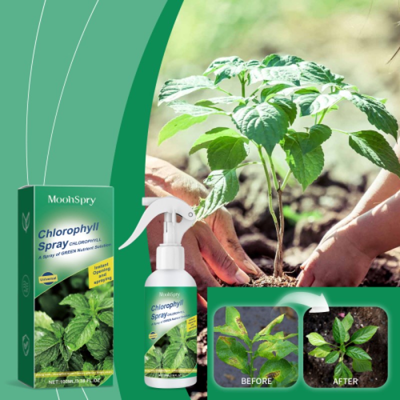 Chlorophyll Spray Supplier - General Plant Nutrient Solution
