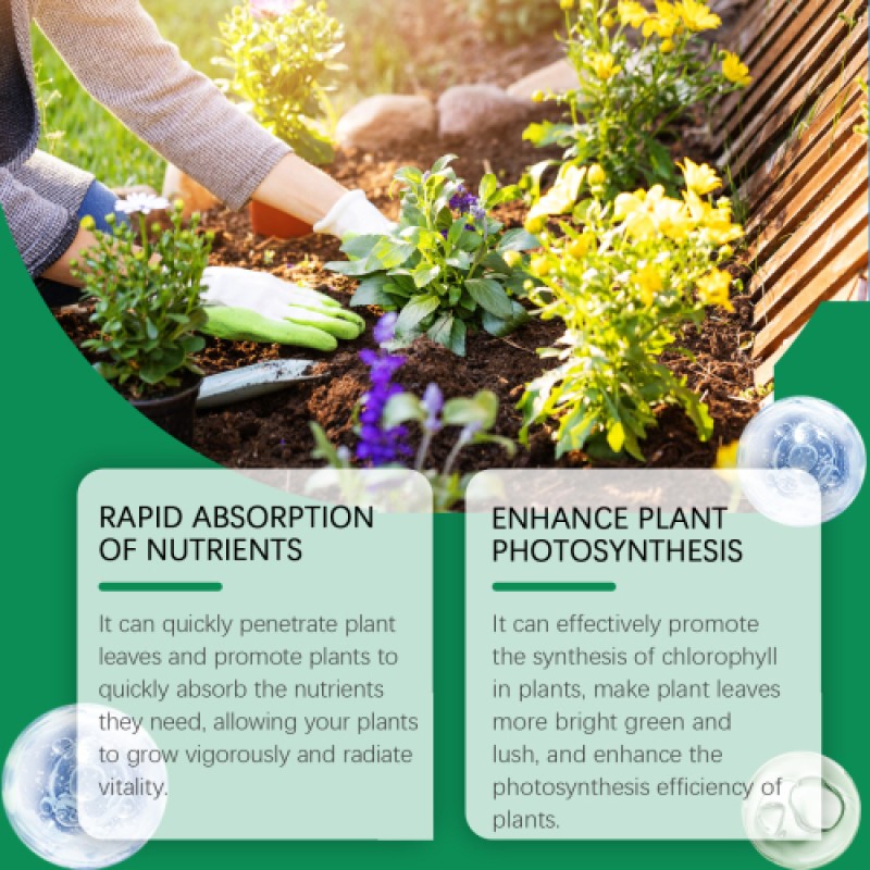 Chlorophyll Spray Supplier - General Plant Nutrient Solution