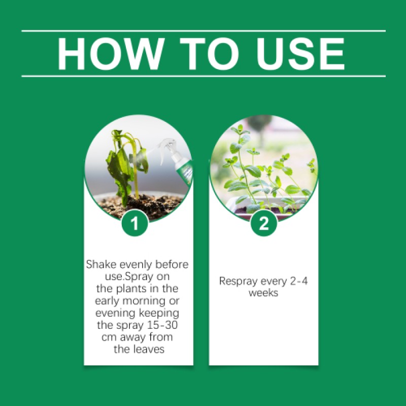 Chlorophyll Spray Supplier - General Plant Nutrient Solution