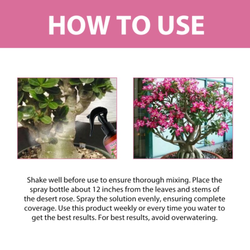 Liquid Spray Plant Manufacturer - Desert Rose Soil Nutrition