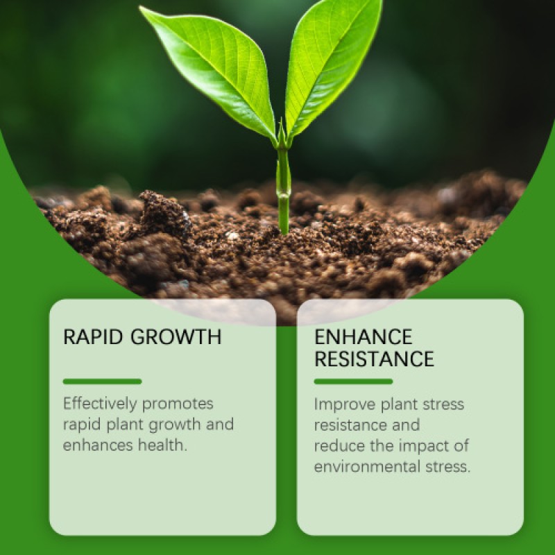 Plant Growth Agent Manufacturer - Concentrated Fertilizer Spray