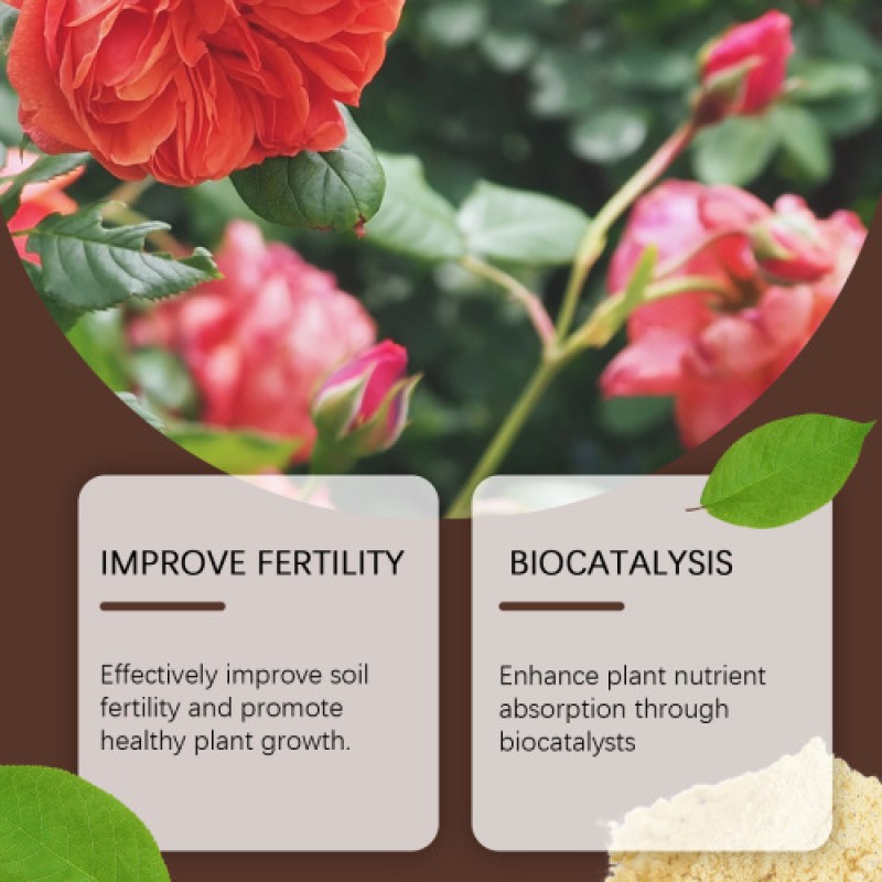 Organic Biocatalyst Manufacturer - Plant Pot Flower Nutrition