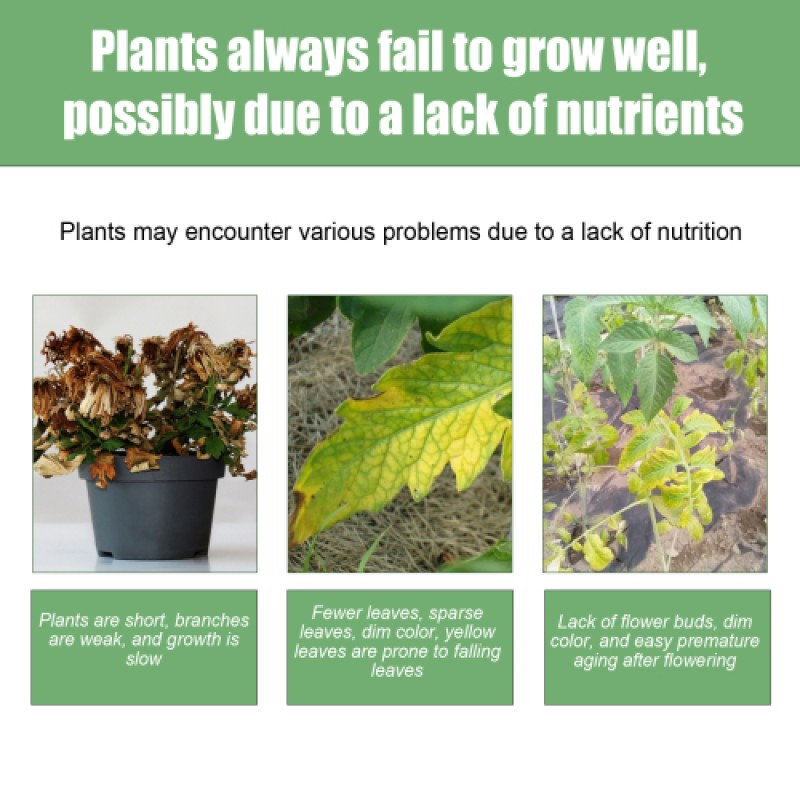 Liquid Fertilizer Supplier - Concentrated Trace Element Solution