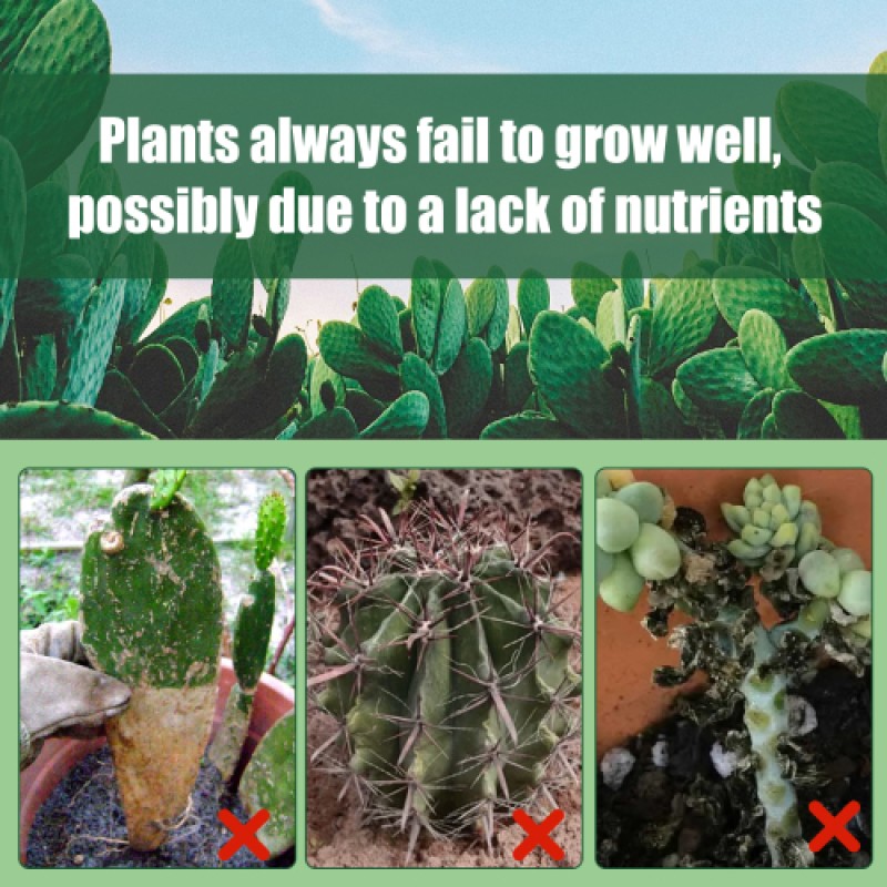 Succulent Fertilizer Supplier - 3-1-2 Liquid Spray Green Plant