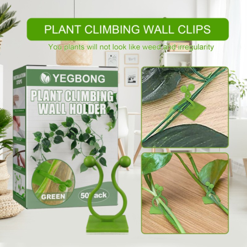 Plant Holder Supplier - Wall Climbing Self-adhesive