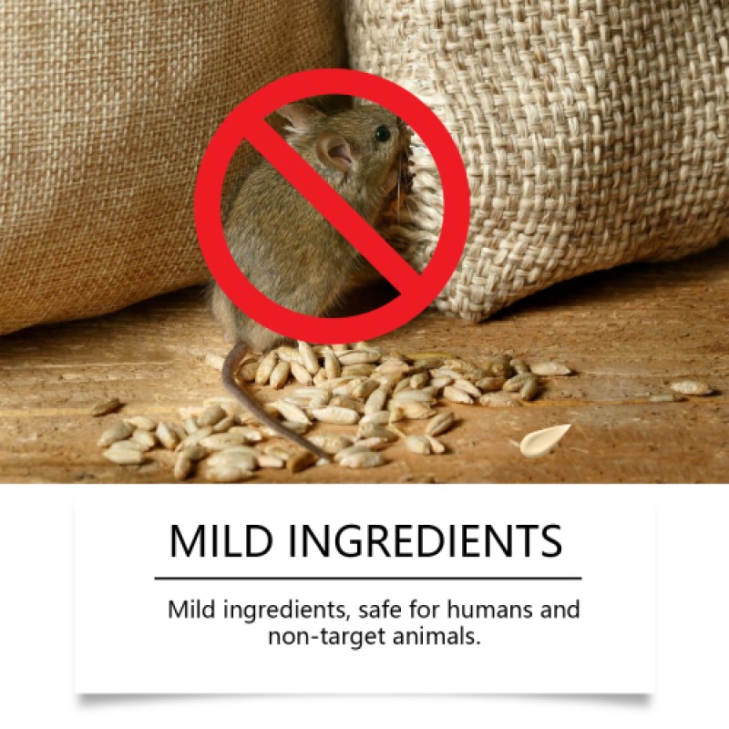 Plastic Restorer Factory - Interior Dashboard Polish