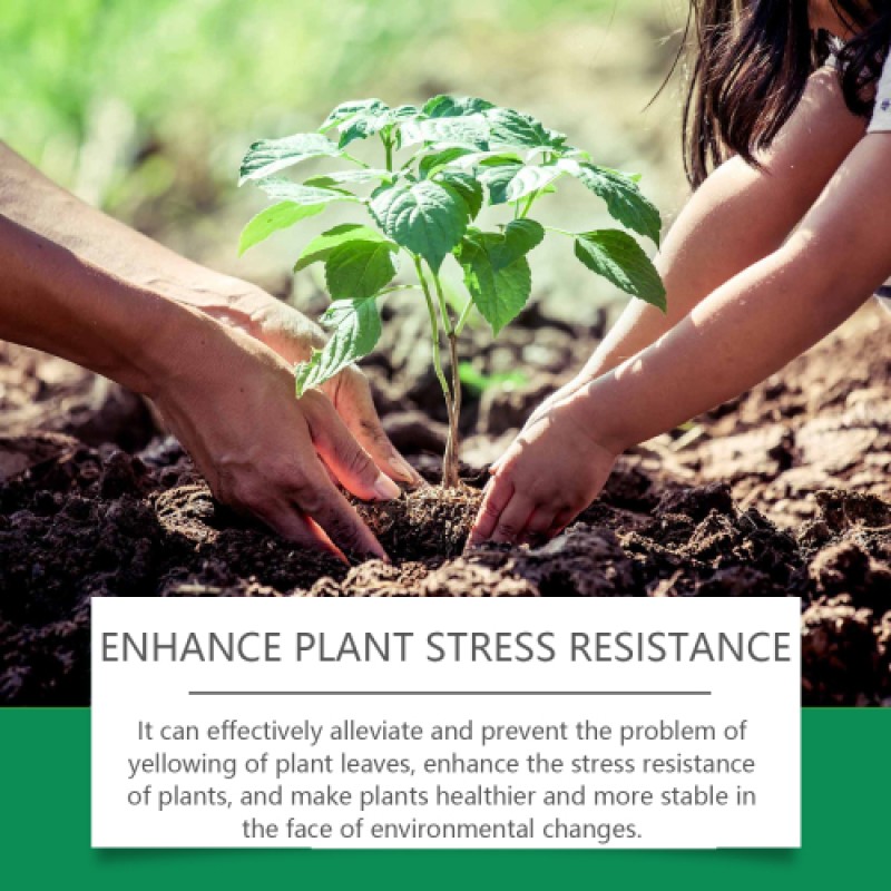 Chlorophyll Spray Supplier - General Plant Nutrient Solution