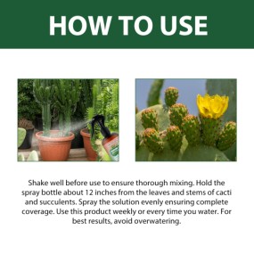Succulent Fertilizer Supplier - 3-1-2 Liquid Spray Green Plant