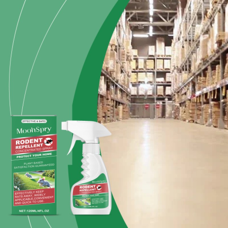 Plastic Restorer Factory - Interior Dashboard Polish