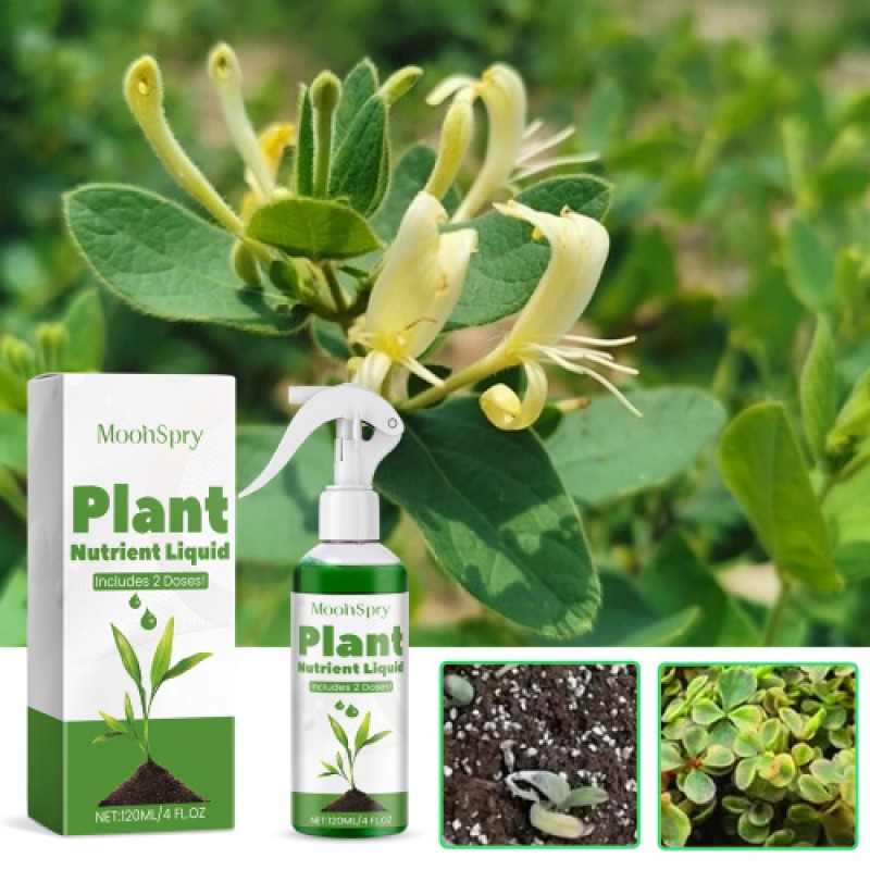 Plant Solution Manufacturer - Foliar Slow-Release Garden Fertilizer