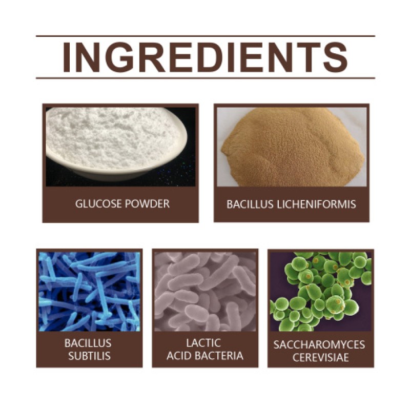 Organic Biocatalyst Manufacturer - Plant Pot Flower Nutrition