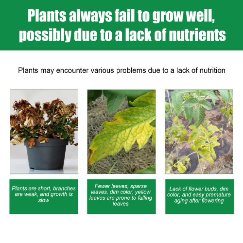 Outdoor Mat Supplier - Lawn Terrace Waterproof Square