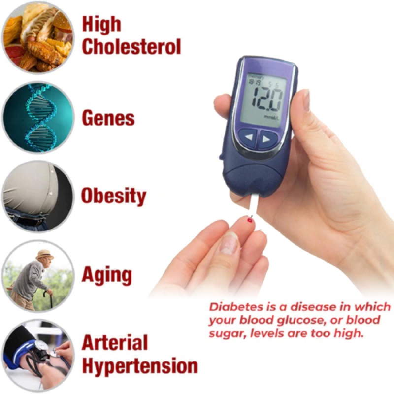 Sugar Guard Device Factory - Elderly Fatigue Relief Vitality