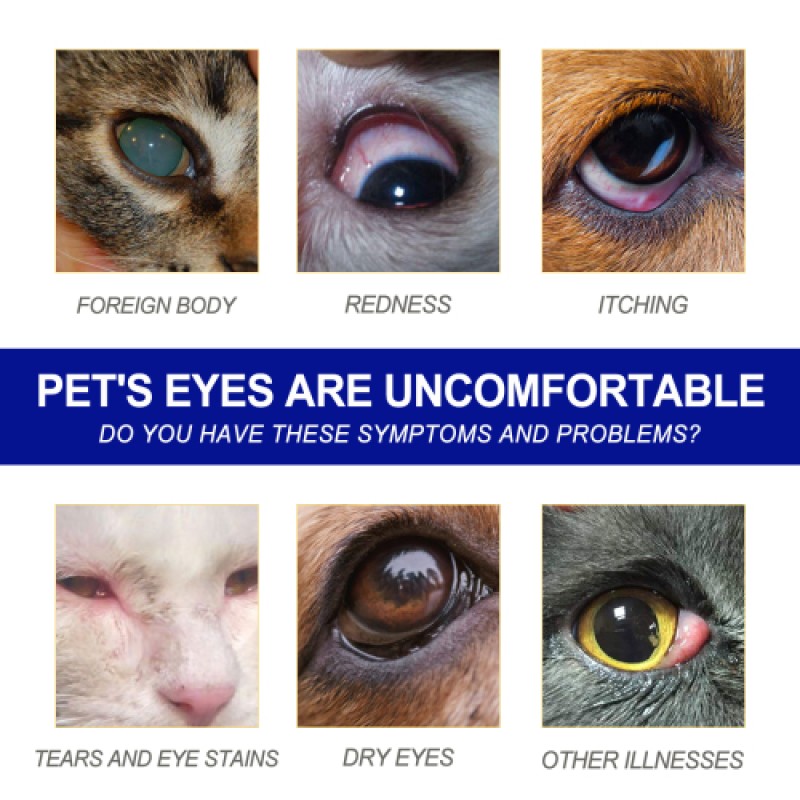 Pet Wash Supplier - Dog Cat Eye Care Water