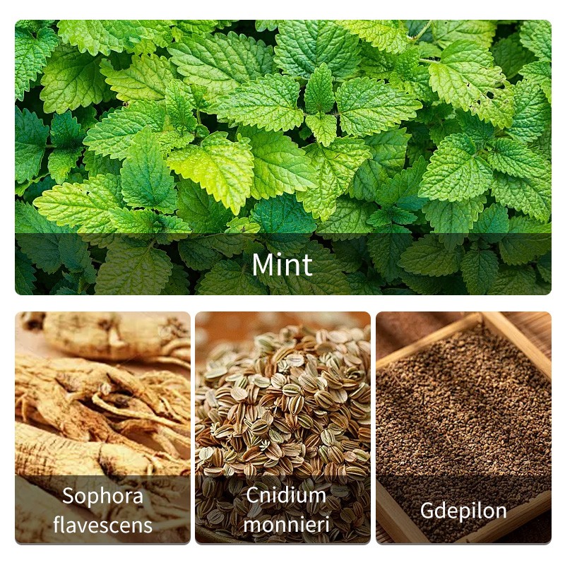 Skin Anti Itch Factory - Wholesale Natural Organic Extracts Adult