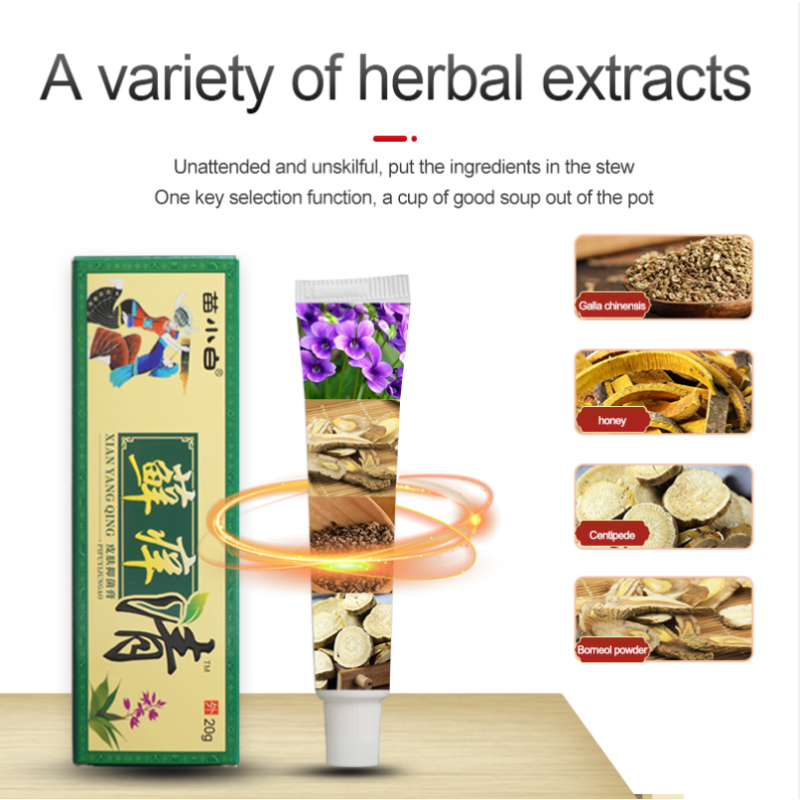 Skin Ointment Manufacturer - 20g Herbal Tinea Dampness Topical