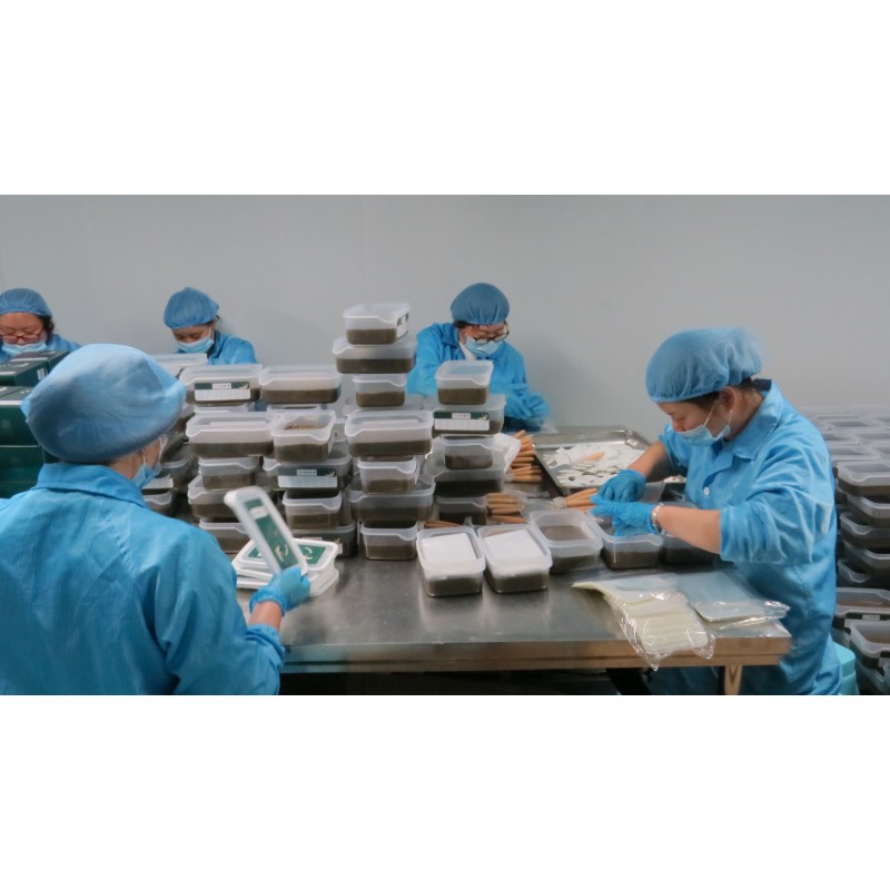 Hemorrhoids Cream Factory - Factory Hot Selling Chinese Herbal