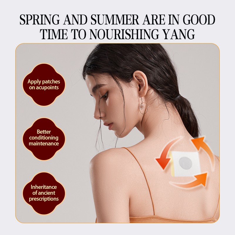 Sanfu Patch Supplier - Traditional Winter Disease Treatment