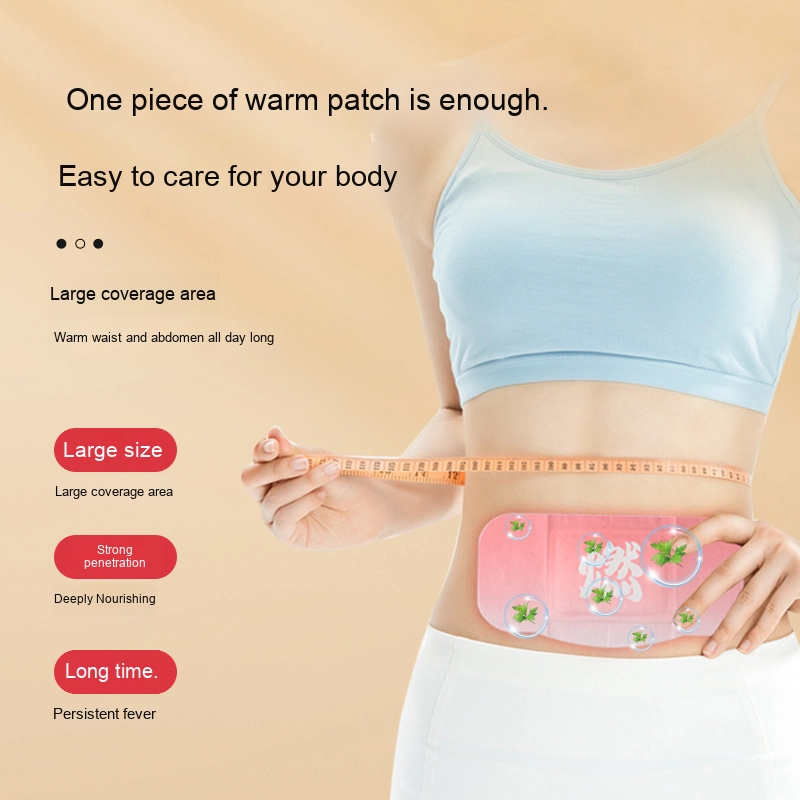 Dehumidifying Patch Manufacturer - Gel Dampness Removal Fat Reduce