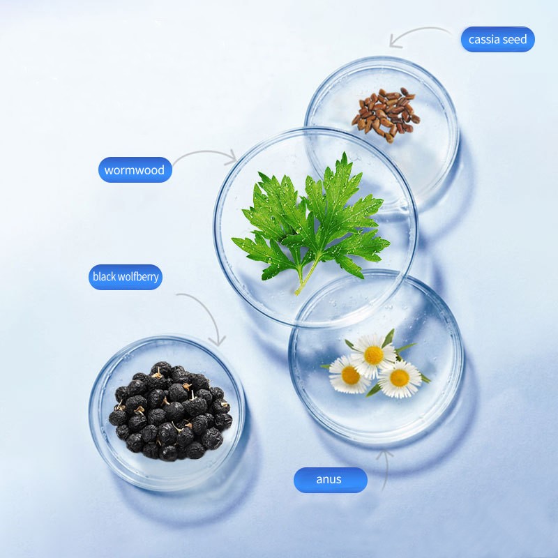 Wormwood Eye Supplier - Herbal Vision Protection Care