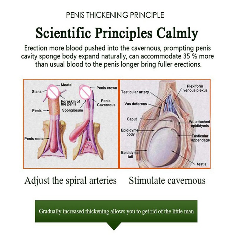 Penis Oil Factory - 10ml Erection Enhancement Thickening