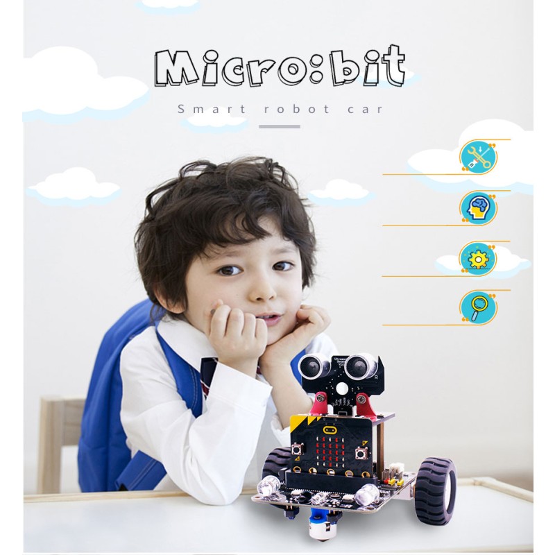 Robot Car Supplier - Microbit V2 DIY Coding
