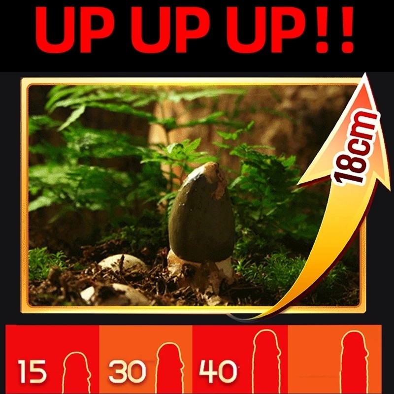 Erection Cream Manufacturer - Leech Essential Massage Products