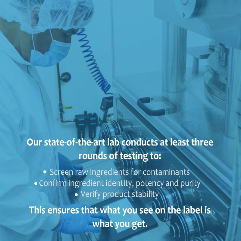 Mushroom Capsules Manufacturer - Lions Mane Cordyceps Immunity