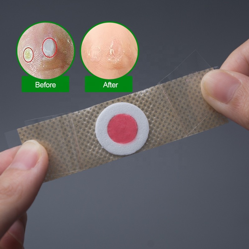 Corn Plaster Manufacturer - Bilingual Health Care 42pcs