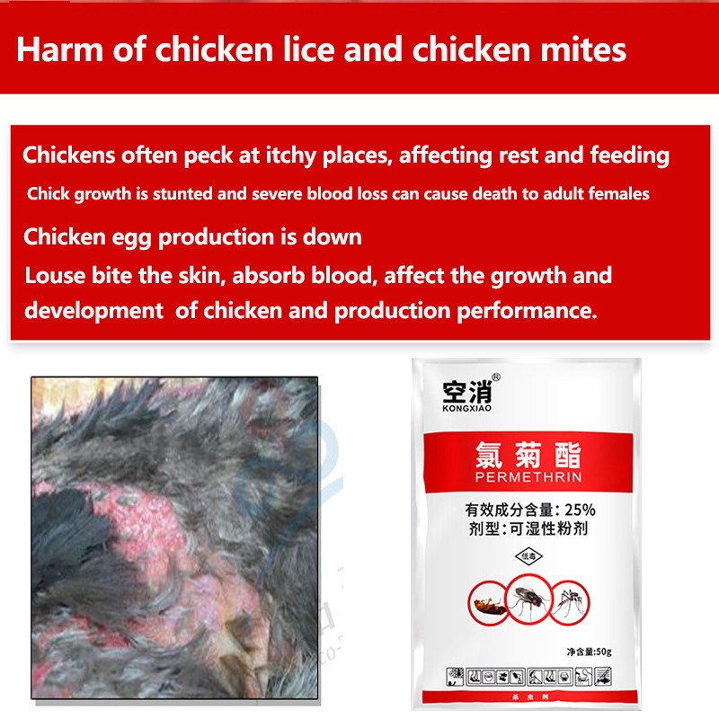 Poultry Insecticide Manufacturer - Low Toxicity Permethrin Powder