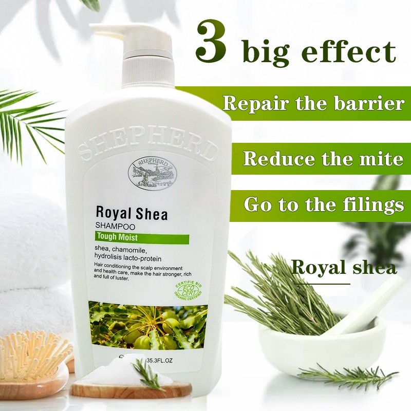 Royal Shea Shampoo Supplier - Oil Control Dandruff Itching Relief
