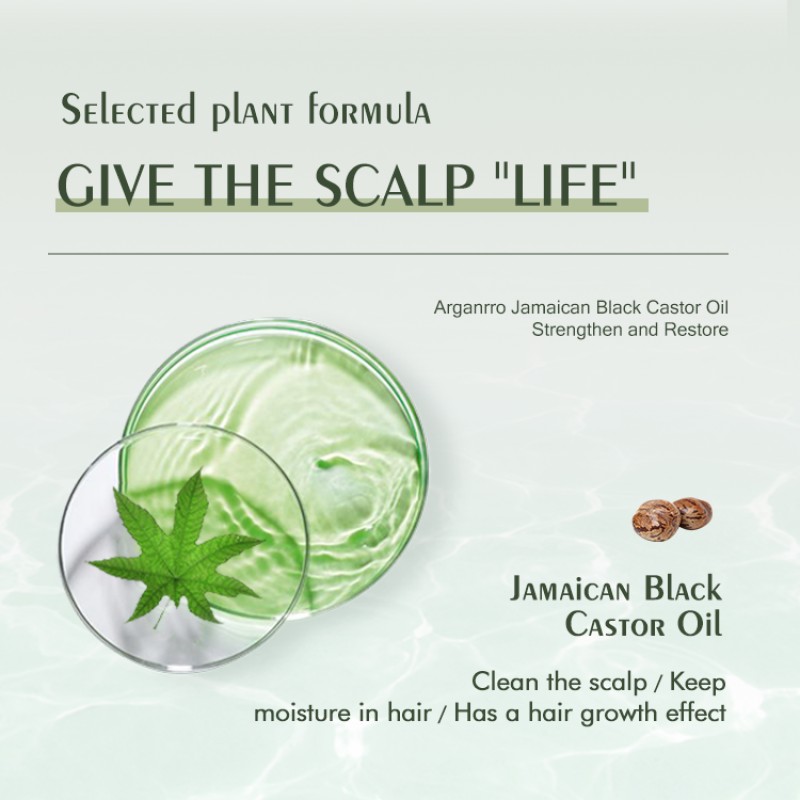 Anti-Dandruff Shampoo Factory - Shea Butter Jamaican Castor Oil