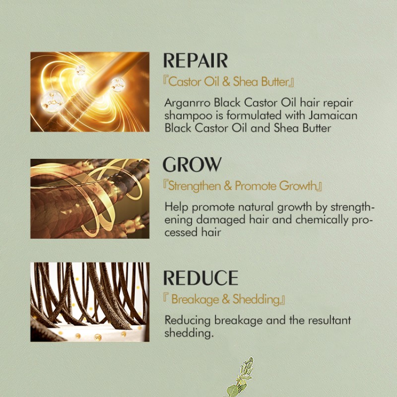 Anti-Dandruff Shampoo Factory - Shea Butter Jamaican Castor Oil