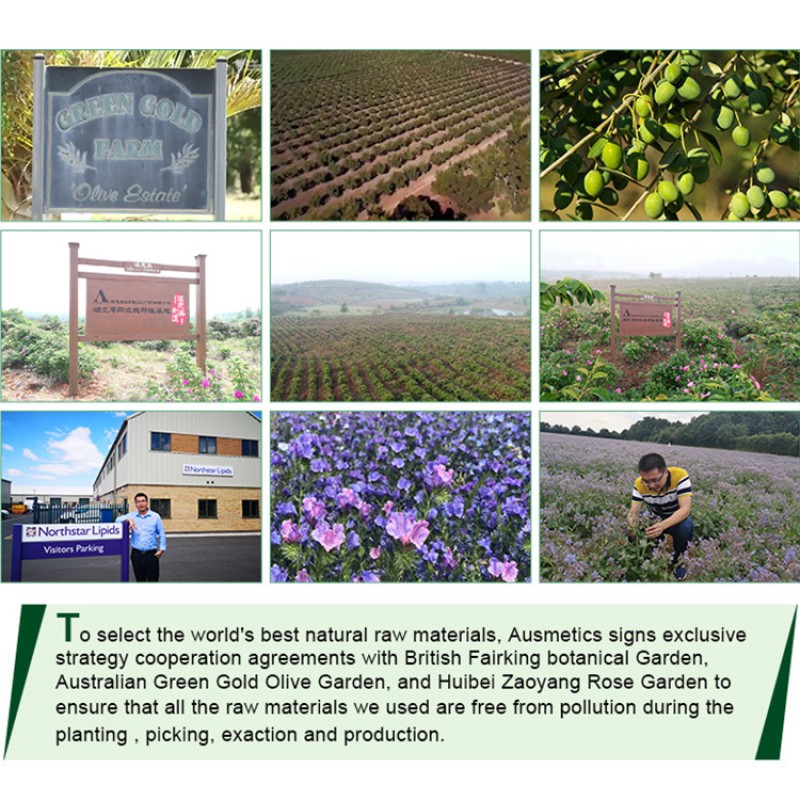 Shower Oil Factory - Private Label Satiny Softness Almond Bath