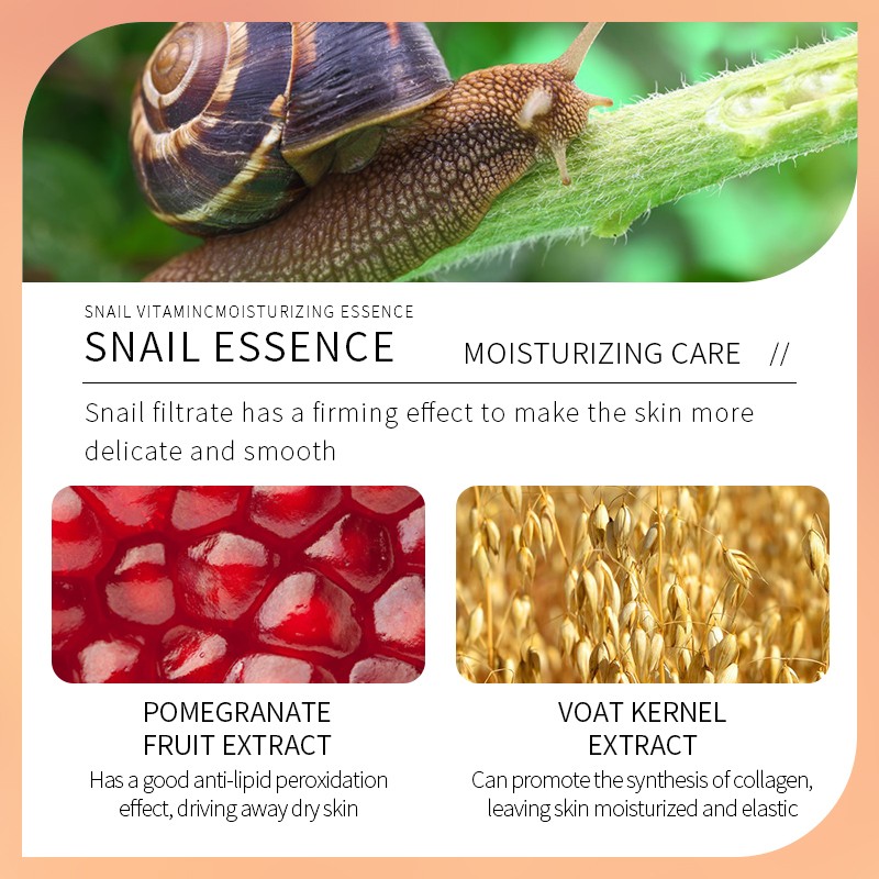 Beauty Serum Manufacturer - OEM Snail Carrots Oranges Anti Aging