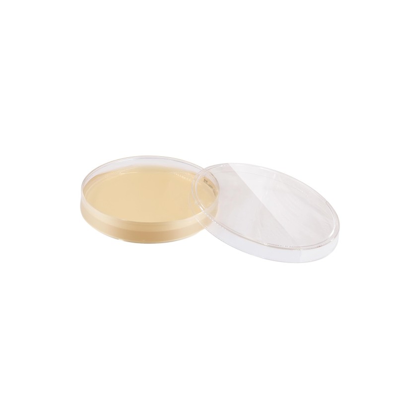 SDA Contact Plate Sabouraud Dextrose Agar Plate for Specific Microbial Growth Environment