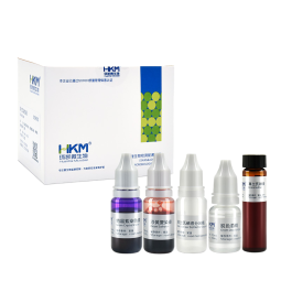 Gram Stain Kit Laboratory Staining for Bacterial Gram Staining Experiments