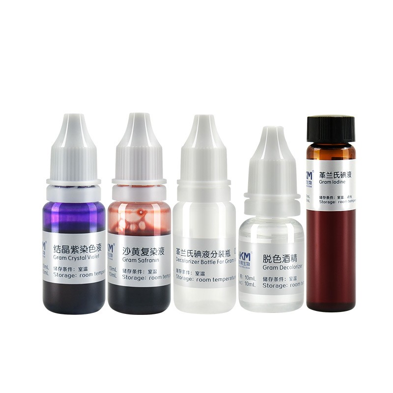 Gram Stain Kit Laboratory Staining for Bacterial Gram Staining Experiments
