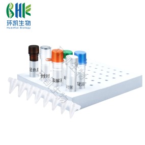Rapid Nucleic Acid Detection Kit for Burkholderia gladioli in Food