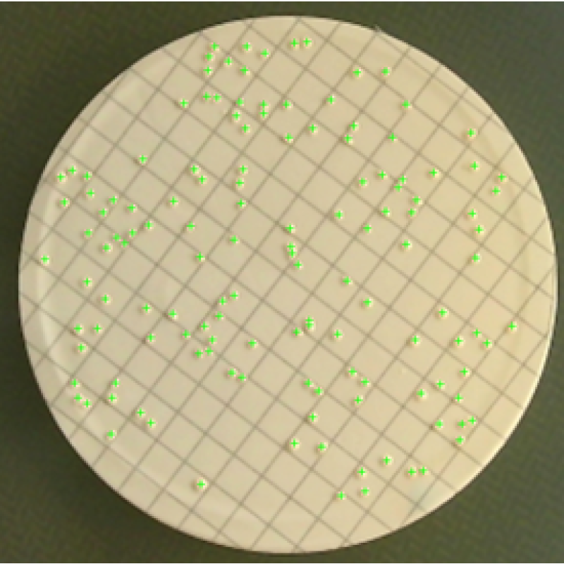 Automatic Colony Counter for Microorganism Counting, Lab Equipment