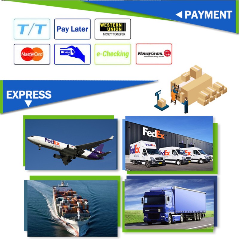 Portable Free Chlorine / Total Chlorine  Meter (LR) , Pocket Colorimeter for Chlorine Testing