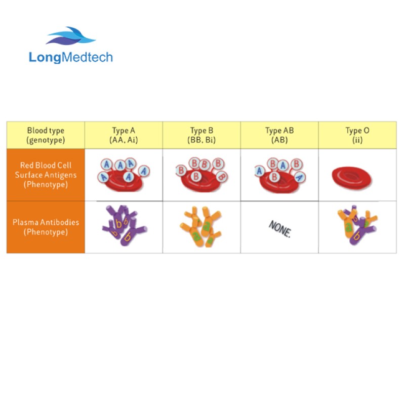 Vertical Autoclave Factory - Digital Display Automation Pressure