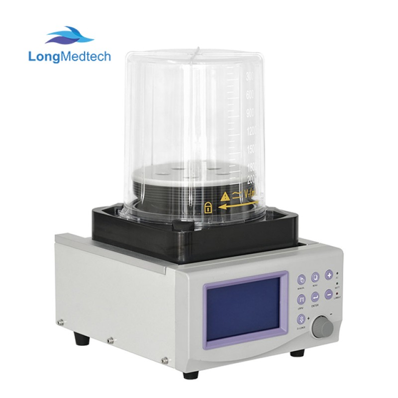 Scraping Apparatus Factory - Meridian Fat Burning Gua Sha