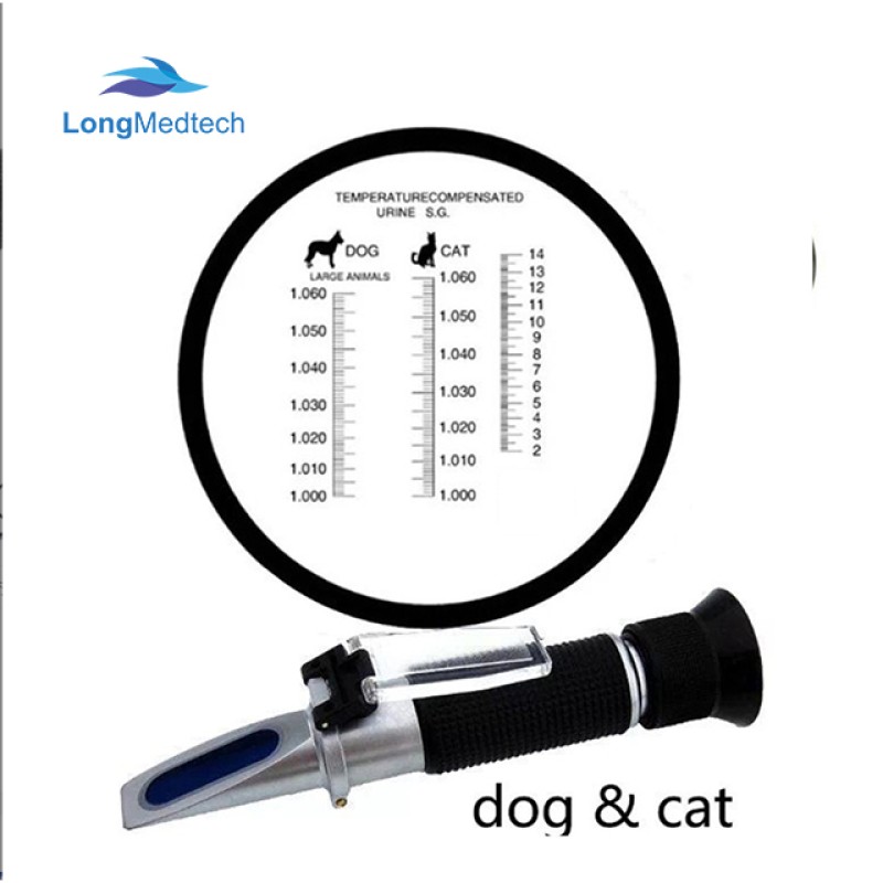 Slit Lamp Factory - Handheld Portable Ophthalmic Medical
