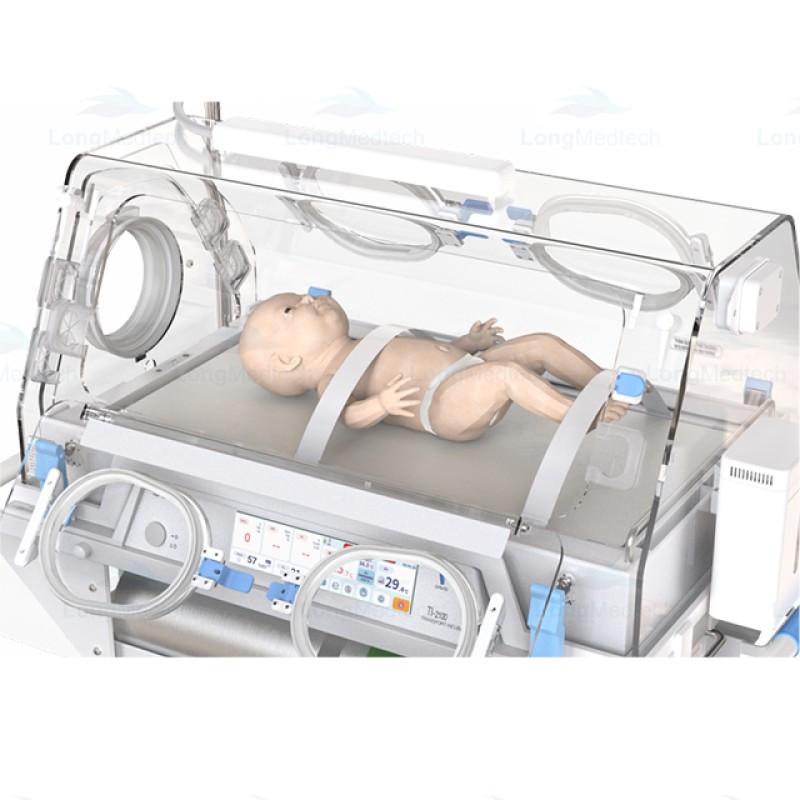 Desktop Autoclave Manufacturer - Table Top Class B Pulsating Vacuum