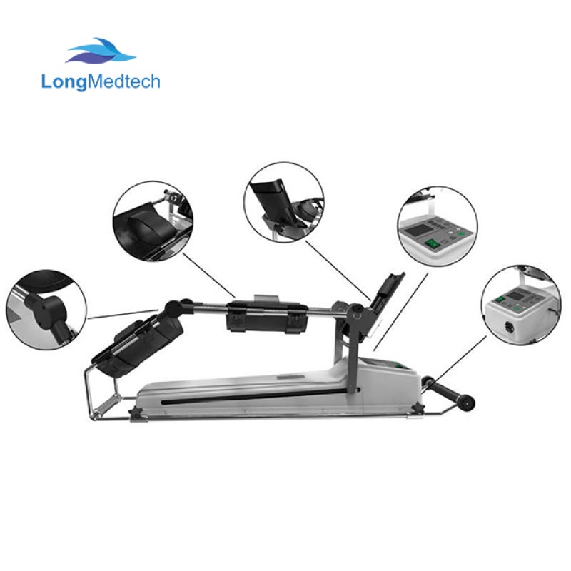 Human Manikin Manufacturer - 85cm Anatomical Body Torso Model