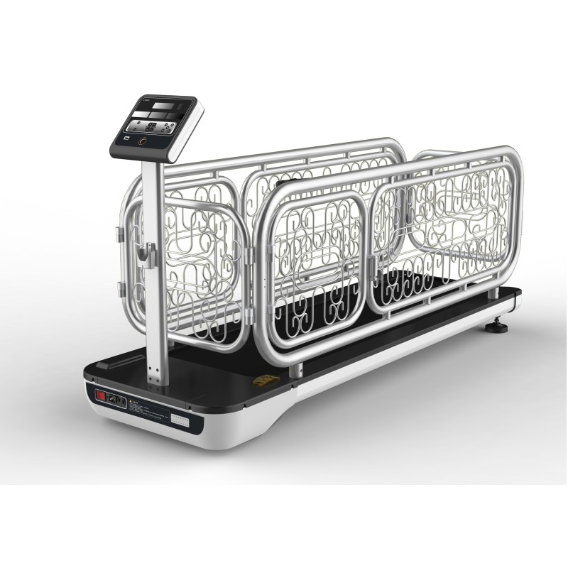 Pregnant Women Manikin Manufacturer - Electronic Maternity Examination